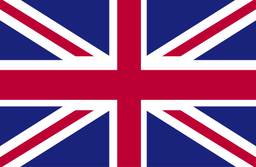 [object Module] flag